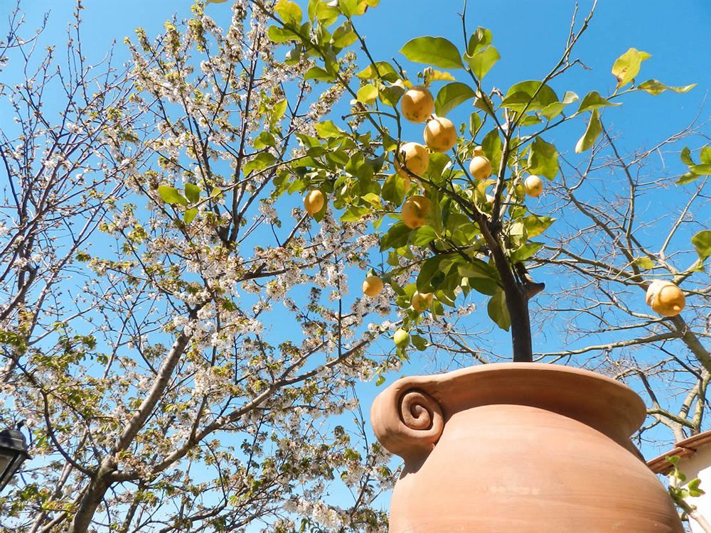 Bacio Del Sole B&B بوسيتانو المظهر الخارجي الصورة